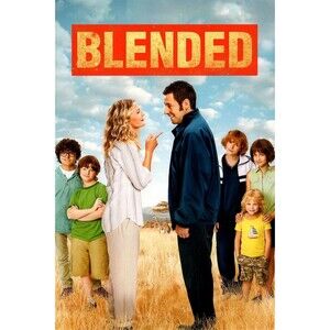 Blended (DVD, 2014)